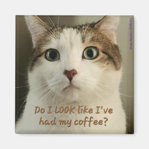 Coffee Cat Magnet #2 - Shuri