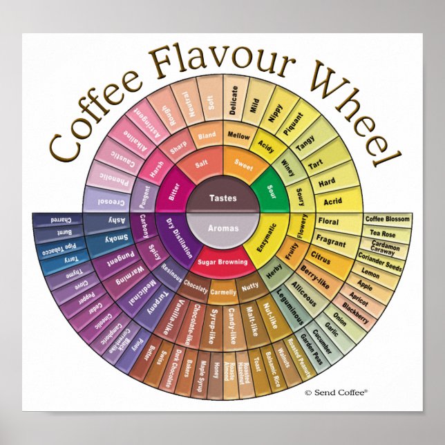 Coffee Flavour Wheel Wall Art (Front)