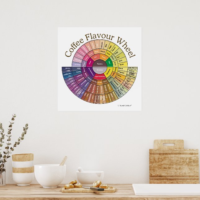 Coffee Flavour Wheel Wall Art - Large (Kitchen)