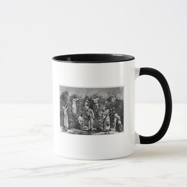 Coffee Harvest Mug (Right)