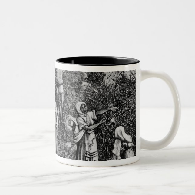 Coffee Harvest Two-Tone Coffee Mug (Right)