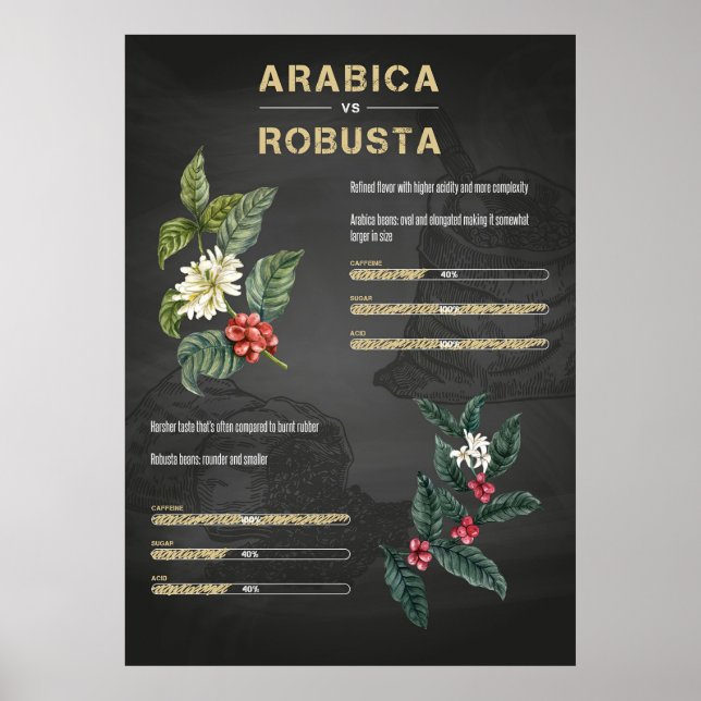 Coffee Lover Coffee Arabica Robusta Poster (Front)