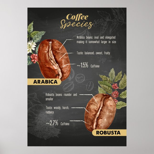 Coffee Lover Coffee Species Poster (Front)