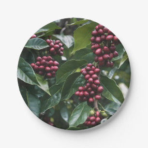 Coffee Lovers Coffee Tree, Paper Plate