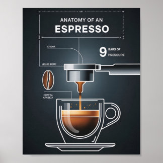 Coffee Lover's Espresso Guide for Kitchen Decor