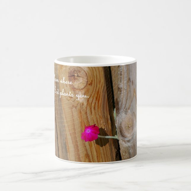 coffee mug with Bloom where God plants you. (Center)