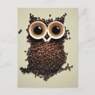 Coffee Owl Postcard