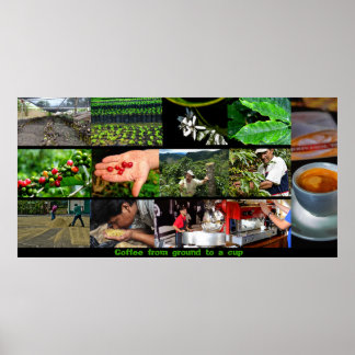 Coffee poster
