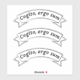 Cogito, ergo sum - I think, therefore I am