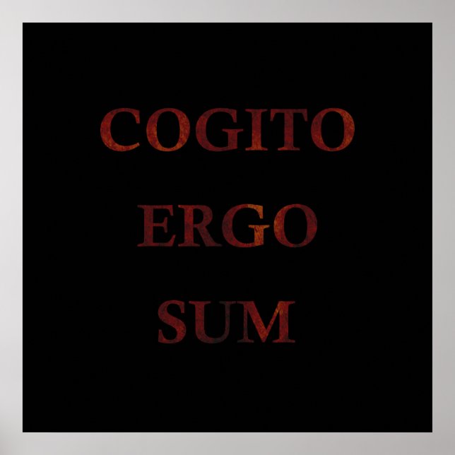 Cogito ergo sum poster (Front)