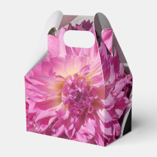 Cogniet Favour Box