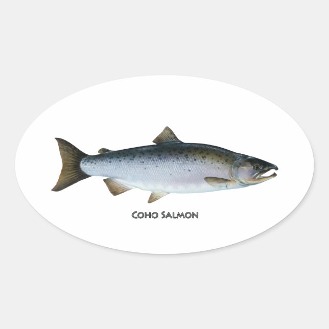 Coho Salmon Oval Sticker (Front)