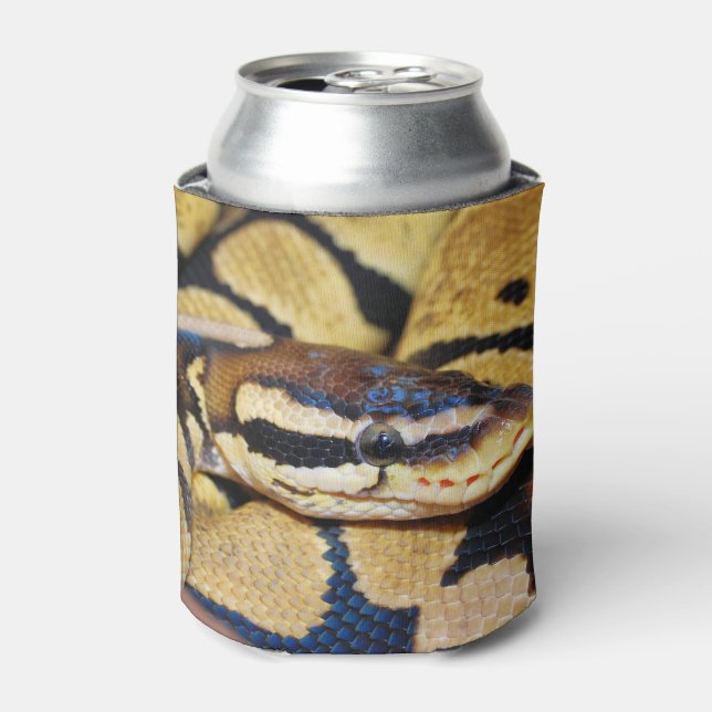 Coiled Ball Python Face Closeup Can Cooler (Can Front)