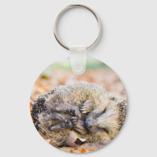 Coiled hedgehog lying on leaves in fall season key ring