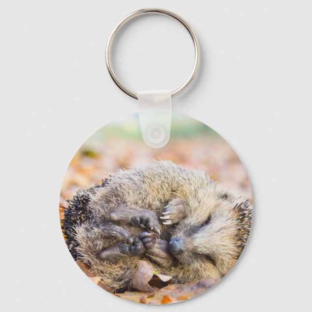 Coiled hedgehog lying on leaves in fall season key ring (Front)