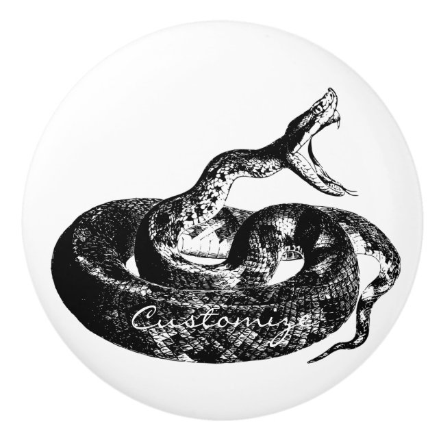 Coiled Rattlesnake Thunder_Cove Ceramic Knob (Front)