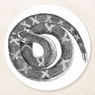 Coiled Snake Line Drawing Illustration Round Paper Coaster