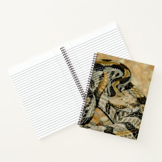 Coiled Timber Rattlesnake Notebook (Inside)