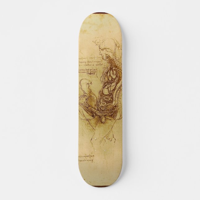 Coition of a hemisected man and woman skateboard (Front)