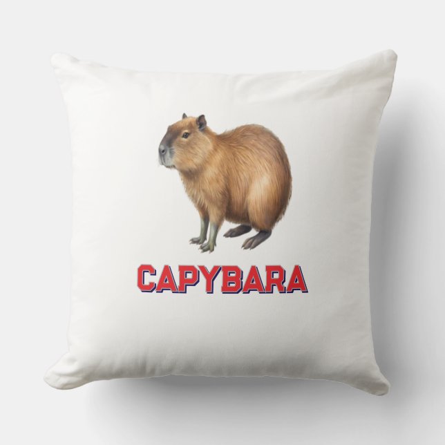 Cojin capybara para el hogar cushion (Front)