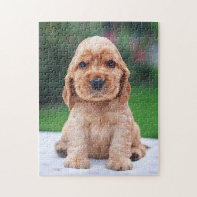 Coker Spaniel Puppy Jigsaw Puzzle (Vertical)