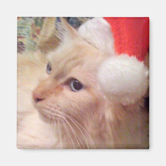 Cokie the Cat Christmas Magnet (Front)
