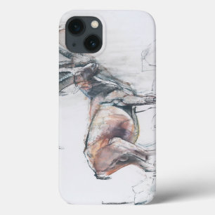 Col di Vermianaz iPhone 13 Case
