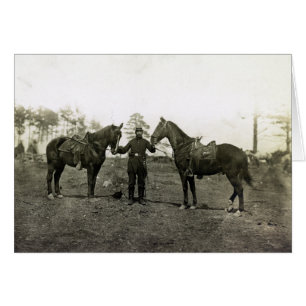 Col. Sharpe's horses