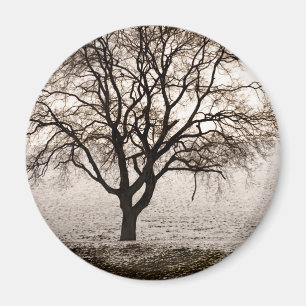 cold and lovely magnet