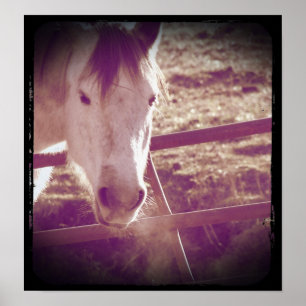 Cold Day Grey Poster