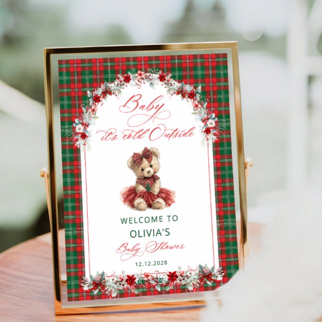 Cold Outside Teddy Bear Baby Shower Welcome Poster (Creator Uploaded)