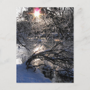 Cold River Hafren Postcard