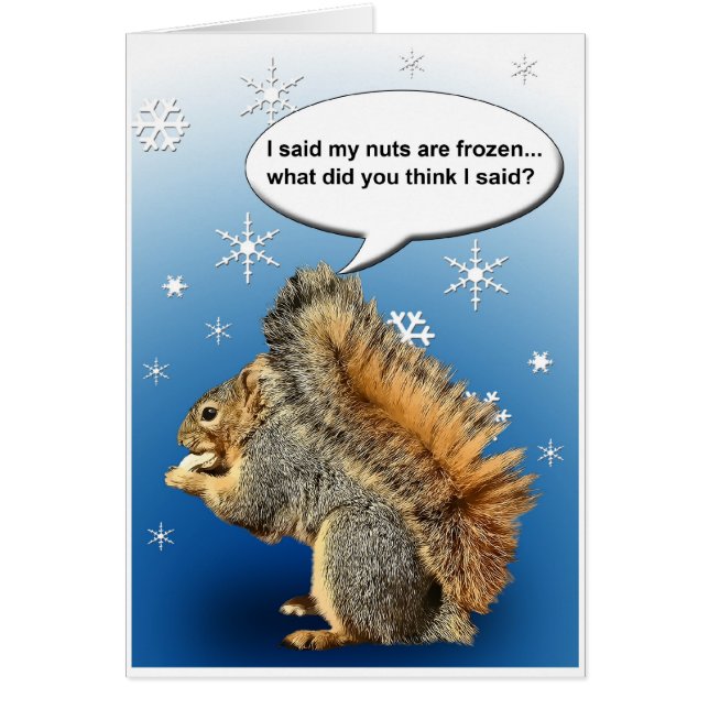 COLD SQUIRREL (Front)