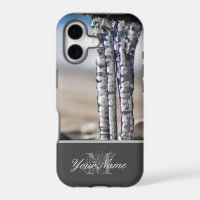 Cold winter with long crystal icycles!