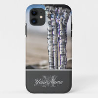 Cold winter with long crystal icycles!