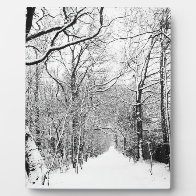 Cold Winter Woodland Plaque (Front)