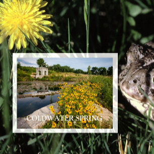 Coldwater Spring Park, Mississippi National River  Postcard