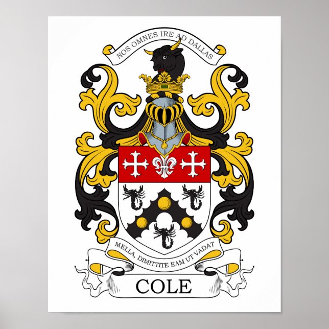 Cole Custom 1 Poster (Front)