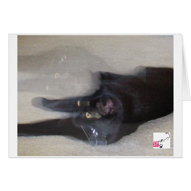 Cole - Movement (Front Horizontal)