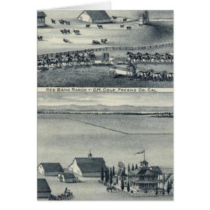 Cole Ranches