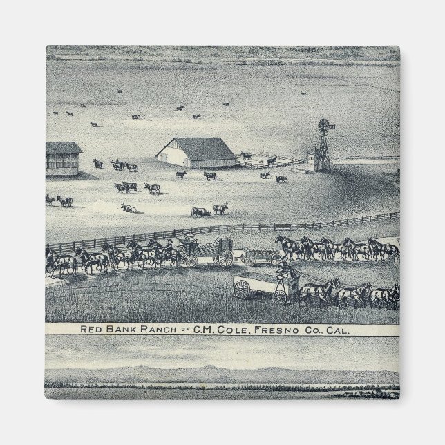 Cole Ranches Magnet (Front)