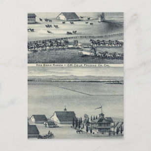 Cole Ranches Postcard