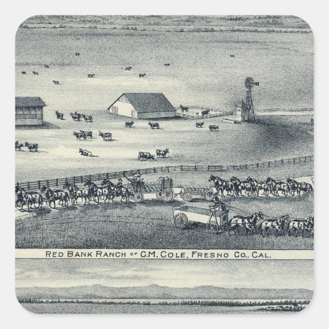 Cole Ranches Square Sticker (Front)