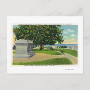 Coles Hill View of Mayflower Burial Monument Postcard
