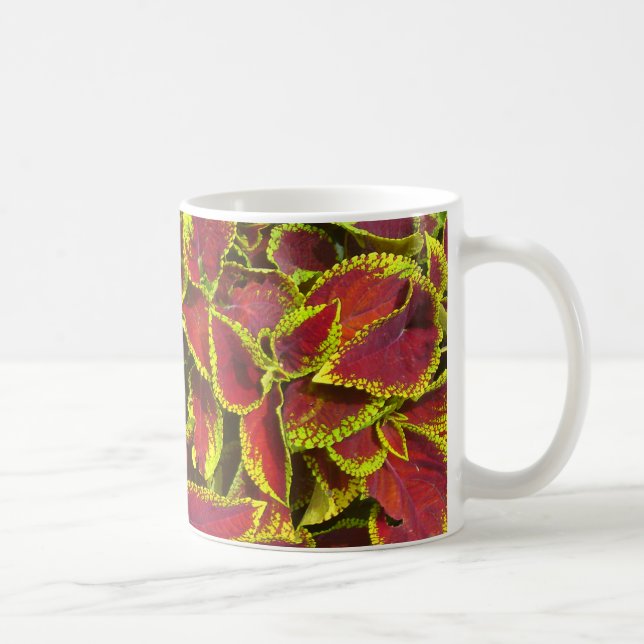 Coleus Flower Patch Mug (Right)