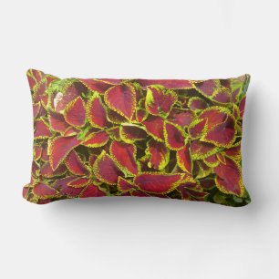 Coleus Flower Patch Pillow