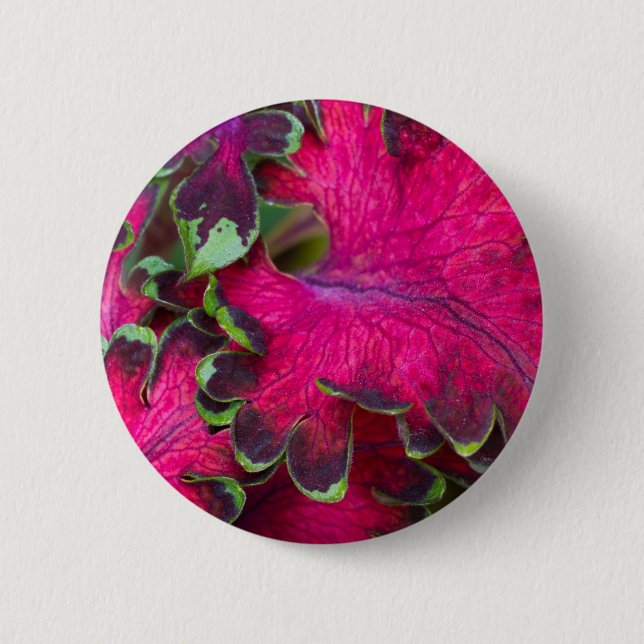 Coleus Macro 6 Cm Round Badge (Front)