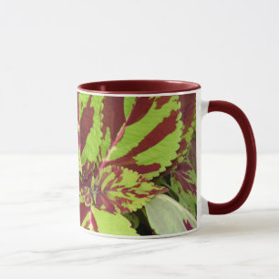 Coleus Mug