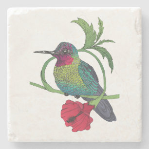 Colibri Bird Illustration Marble Stone Coaster