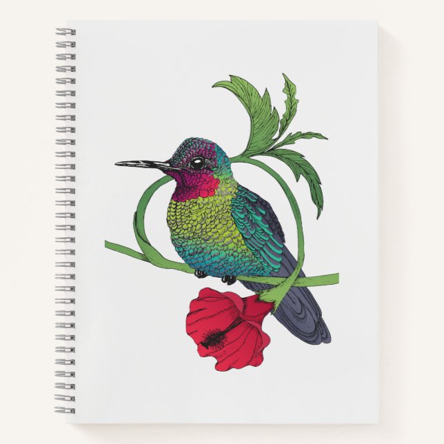 Colibri Bird Illustration Notebook (Front)
